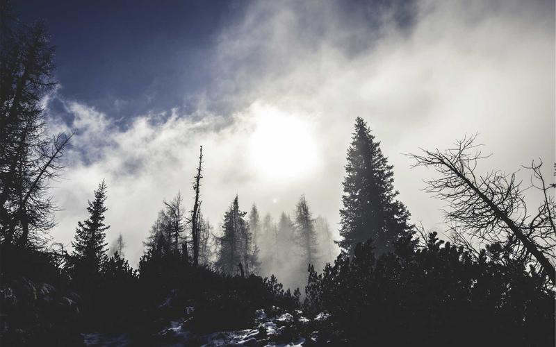 [PAST-DIR] quinn blackfeather — Shamanic Drumming Journey